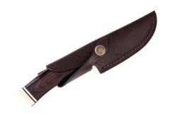 Buck Vanguard (0192BRS-2584) 10 Buck Vanguard (0192BRS-2584) -Knife Specialty Store 0192FAM01 6 80298.1609360718