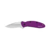 Kershaw Scallion Purple (1620PUR) -Knife Specialty Store 1620pur Kershaw Scallion Aluminum Purple 875012 1 56085.1654113976