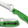 Spyderco Atlantic Salt Green FRN Serrated (C89FSGR) -Knife Specialty Store SP89FSGRnb 99521.1604350889
